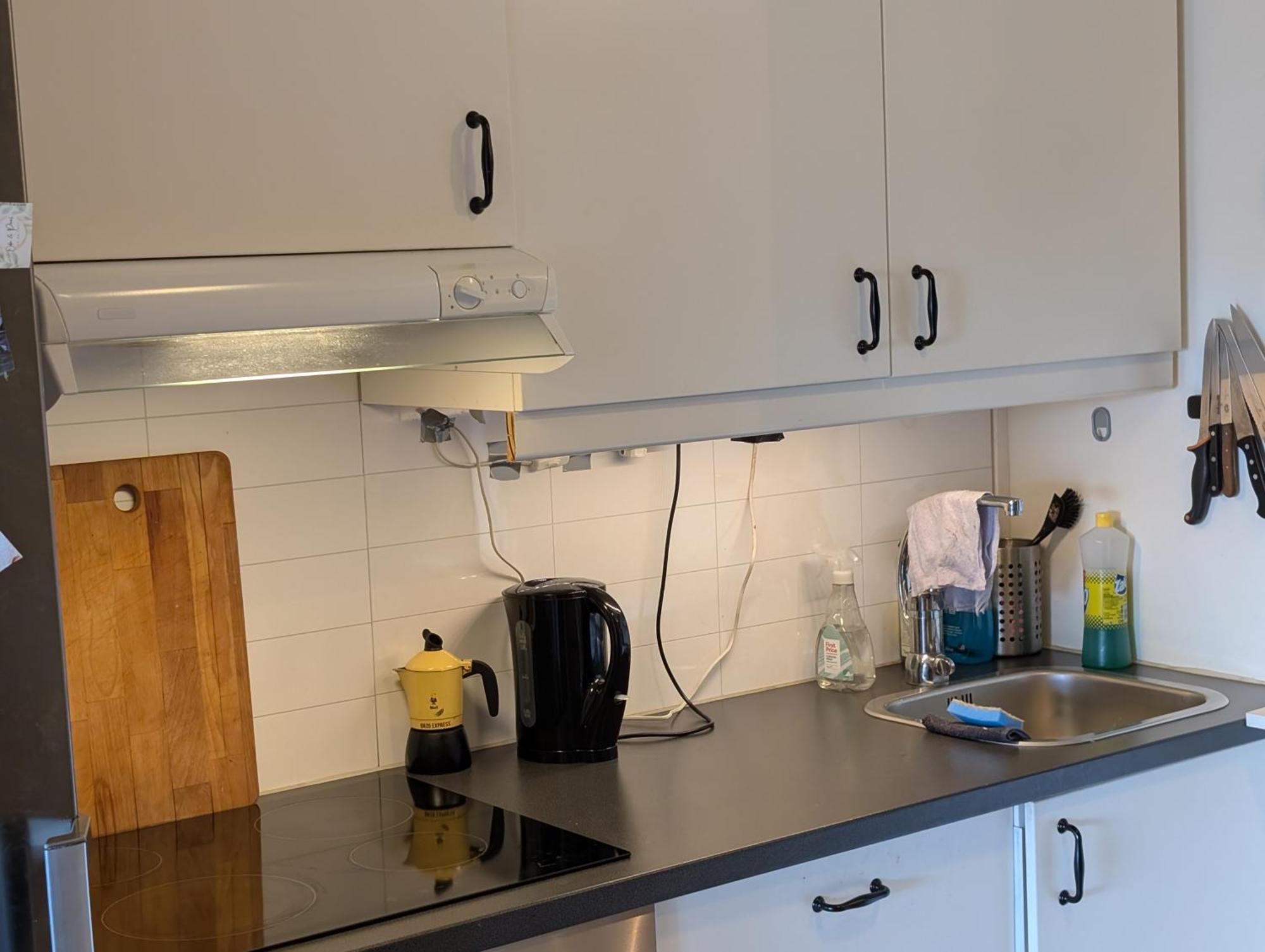 Spacious And Cozy Study Apartment With Balcony 오슬로 외부 사진